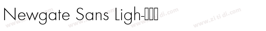 Newgate Sans Ligh字体转换